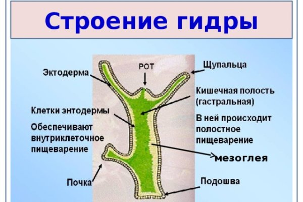 Кракен через тор браузер