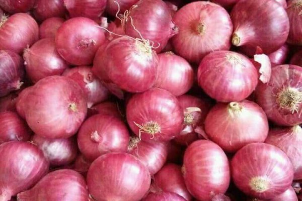 Kraken tor onion зеркало