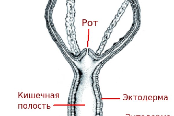 Вывести деньги с кракена